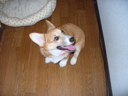 トリミング 015.JPG