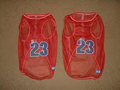 カレン１才の誕生日 001.JPG