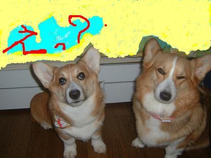 面白い顔 026.JPG