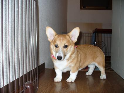 トリミング 017.JPG