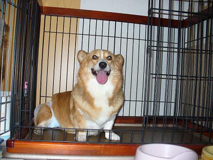 トリミング 024.JPG