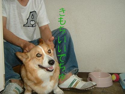 実は勇気あるライチ 041.JPG