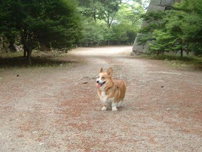 元気出して松阪公園に行こう 024.JPG