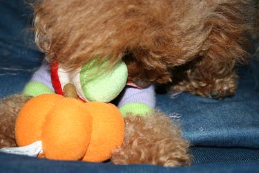 IMG_1655.jpg