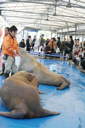 家族旅行☆3歳5か月