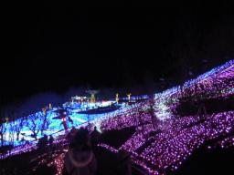 DSCN0128.JPG