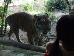 20924943_897321216_31large.jpg