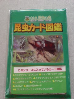 頂き物・ＫＵＮＩさん２