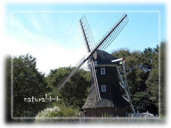 名城公園のオランダ風車