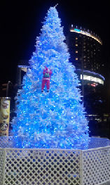 101220_2214~01.jpg