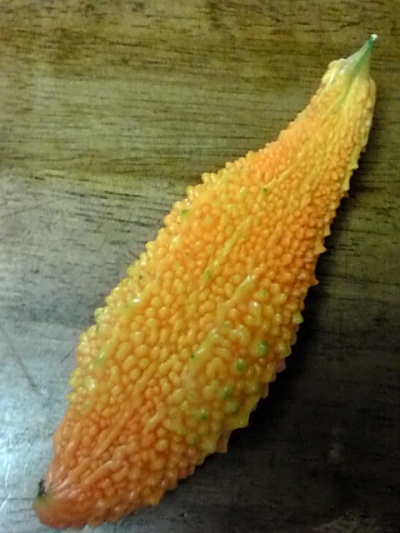 F1010083.JPG