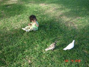 DSC01176.JPG