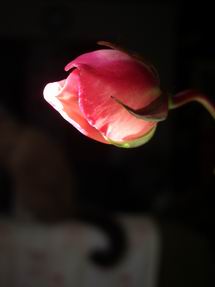 2005-12-18 13:32:18