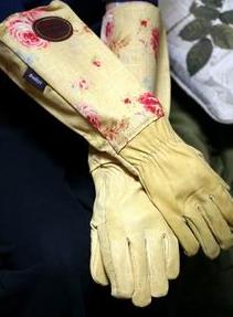 glove