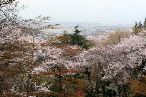 ,望地