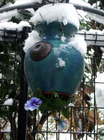 サイズ変更再露出回転2006-01-21 017.JPG