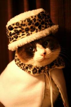 hat