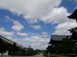 一番カキコ記念　東福寺♪