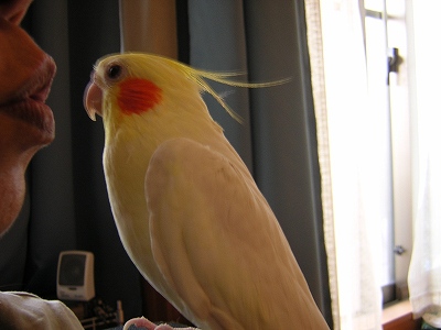 2005-05-23 14:54:19