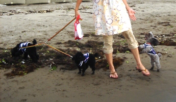 2009 8 023.jpg