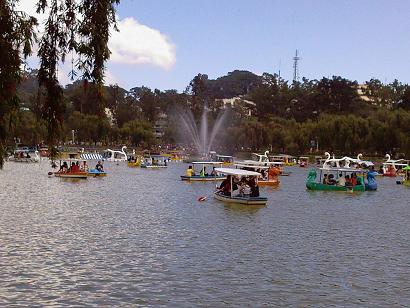 公園内には大きな池があってボートに乗れます