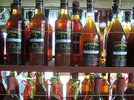 結構どこにでも見かける光景！