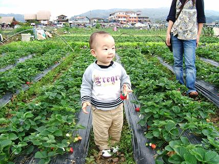 ごきげんなインソンちゃん