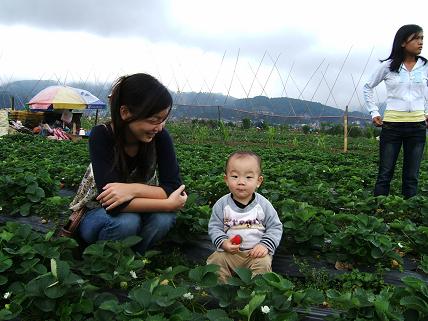 腰を下ろしています