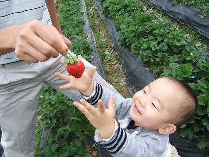 もう一回やりたいよ～