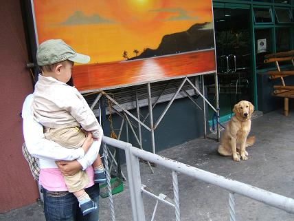 ホテルの入り口になぜか繋がれていたワンちゃん。このワンちゃんかわいい！