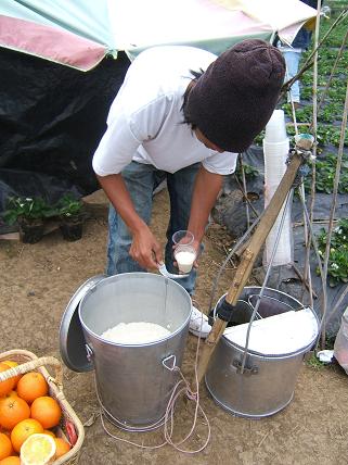 タホー売りの兄ちゃん