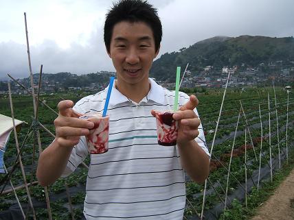 ストロベリータホー