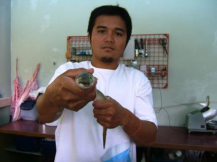 川で捕った魚を披露してくれました