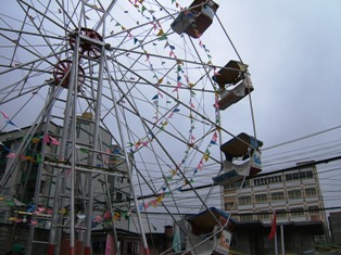 大きく写してみた