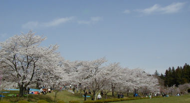 60羊山公園.jpg