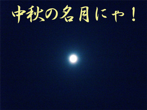 070925-2中秋の名月にゃ！
