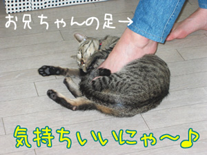 070503-3いい気持ちにゃ～2