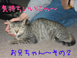 070503-2いい気持ちにゃ～