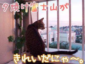 070912-1夕焼け富士山がきれいだにゃ～。