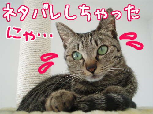 080111-1ネタバレしちゃったにゃ？！