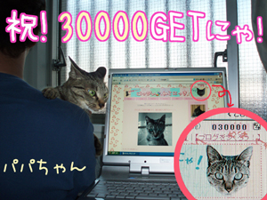 071125-1祝！30000GET!にゃ～