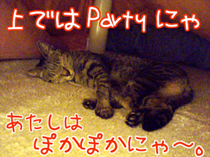 071021-1パーティーにゃ！