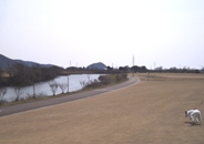 追波川河川運動公園