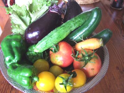 野菜収穫6.27