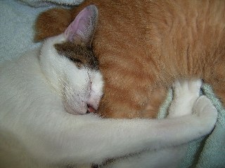 お尻に頭突き☆