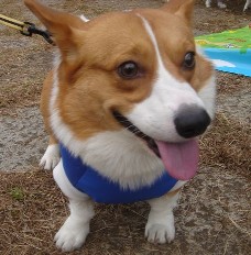 2005-11-07 22:33:16
