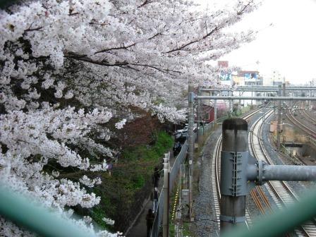 王子駅の陸橋から