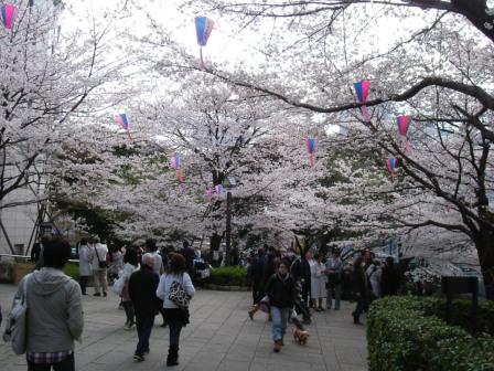 公園の中