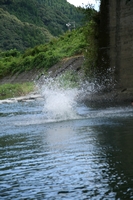 番匠川へ飛び込む3