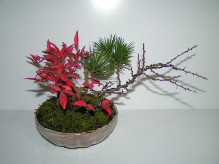 PICT0007.jpg